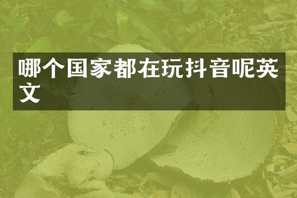 哪个国家都在玩抖音呢英文