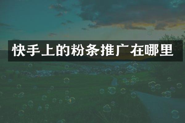 快手上的粉条推广在哪里