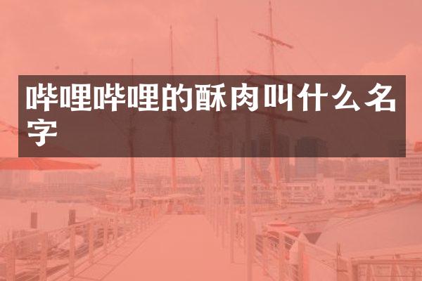 哔哩哔哩的酥肉叫什么名字