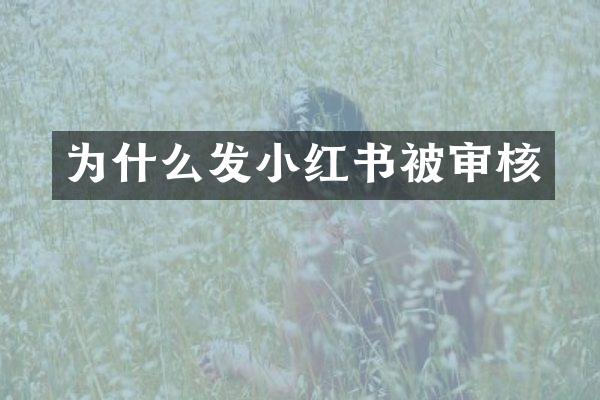 为什么发小红书被审核