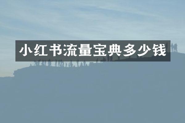 小红书流量宝典多少钱