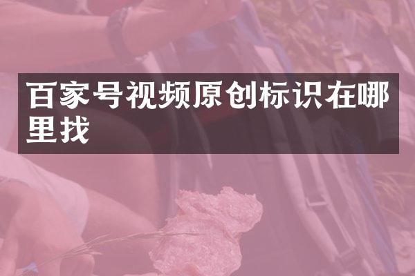 百家号视频原创标识在哪里找