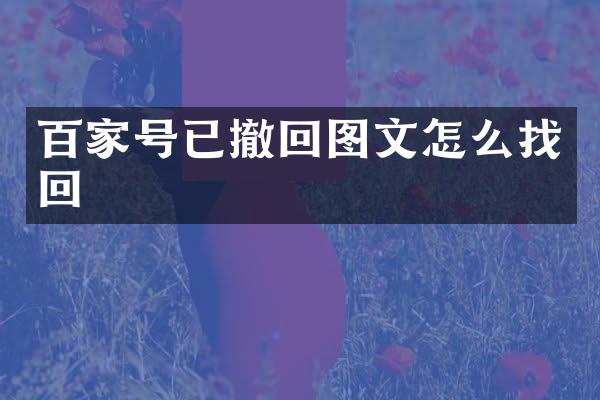 百家号已撤回图文怎么找回