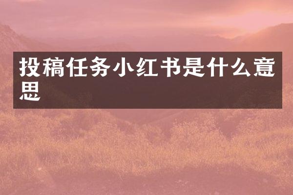 投稿任务小红书是什么意思