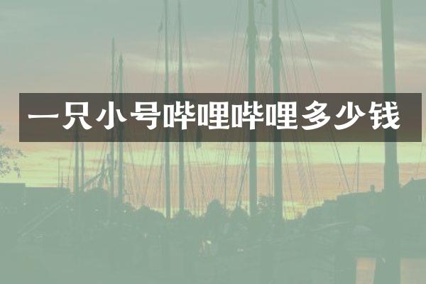 一只小号哔哩哔哩多少钱