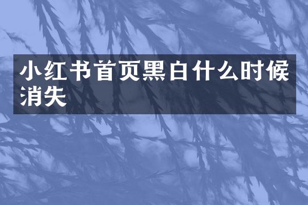 小红书首页黑白什么时候消失
