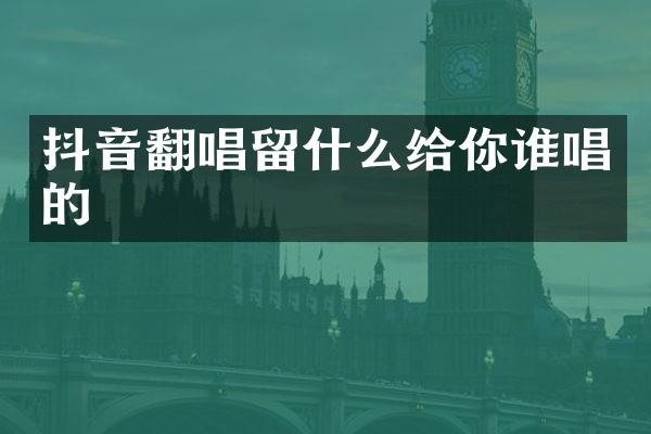 抖音翻唱留什么给你谁唱的