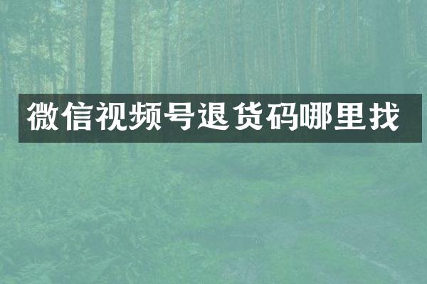 微信视频号退货码哪里找