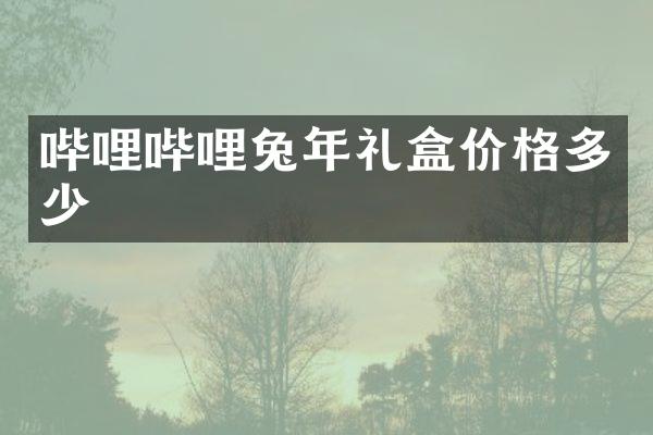 哔哩哔哩兔年礼盒价格多少