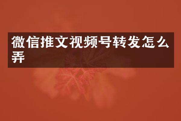 微信推文视频号转发怎么弄