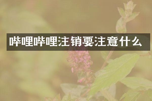 哔哩哔哩注销要注意什么