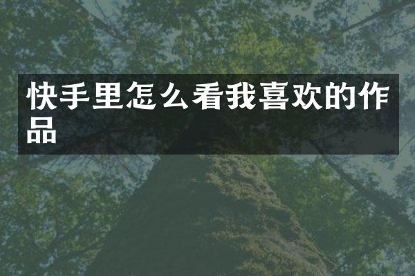 快手里怎么看我喜欢的作品