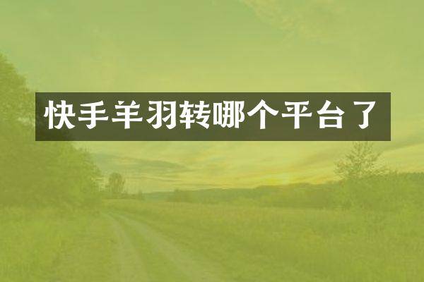 快手羊羽转哪个平台了