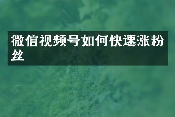 微信视频号如何快速涨粉丝