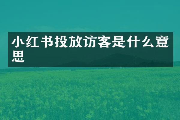 小红书投放访客是什么意思