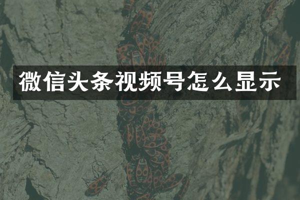 微信头条视频号怎么显示