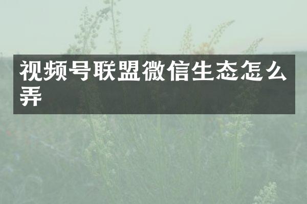 视频号联盟微信生态怎么弄