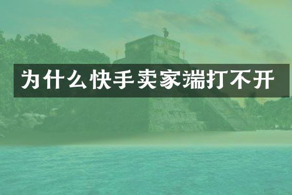 为什么快手卖家端打不开
