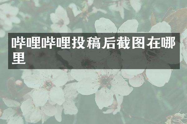 哔哩哔哩投稿后截图在哪里