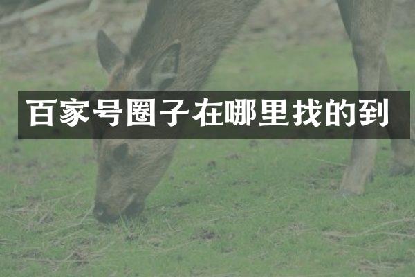 百家号圈子在哪里找的到