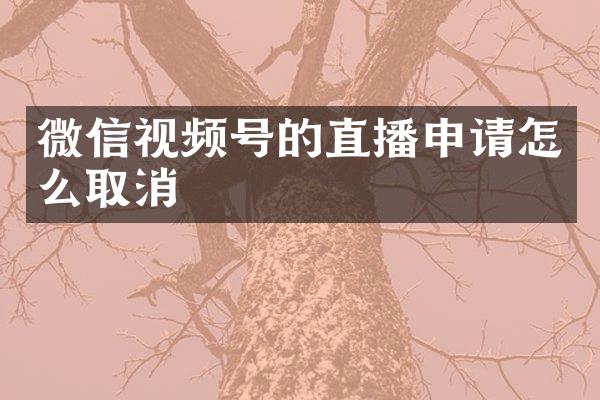 微信视频号的直播申请怎么取消