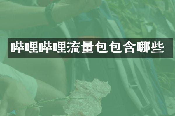 哔哩哔哩流量包包含哪些