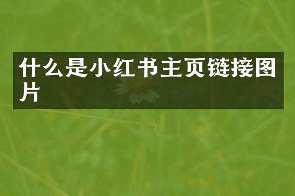 什么是小红书主页链接图片
