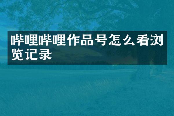 哔哩哔哩作品号怎么看浏览记录