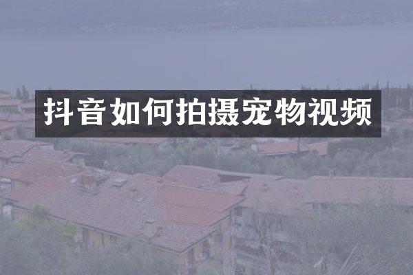 抖音如何拍摄宠物视频