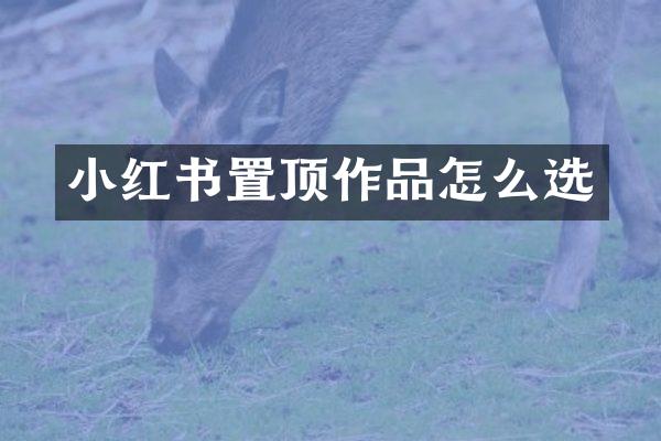 小红书置顶作品怎么选