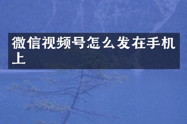 微信视频号怎么发在手机上