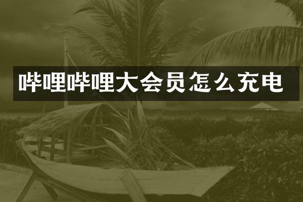 哔哩哔哩大会员怎么充电