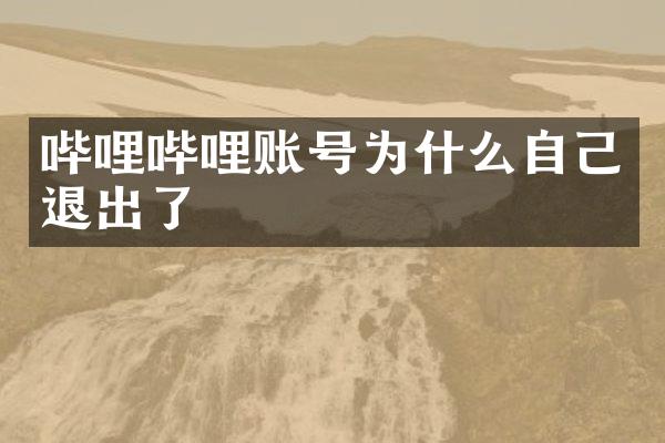 哔哩哔哩账号为什么自己退出了