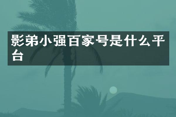 影弟小强百家号是什么平台
