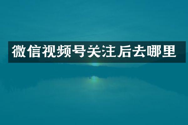 微信视频号关注后去哪里