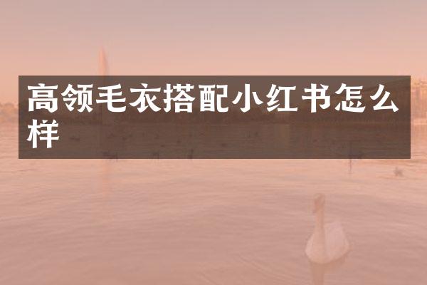 高领毛衣搭配小红书怎么样
