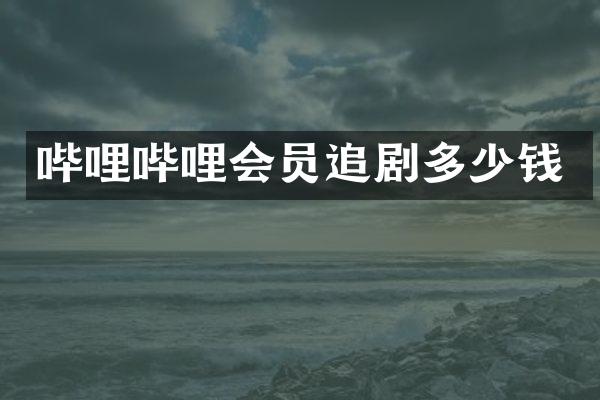 哔哩哔哩会员追剧多少钱
