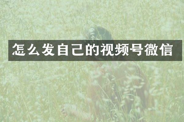 怎么发自己的视频号微信