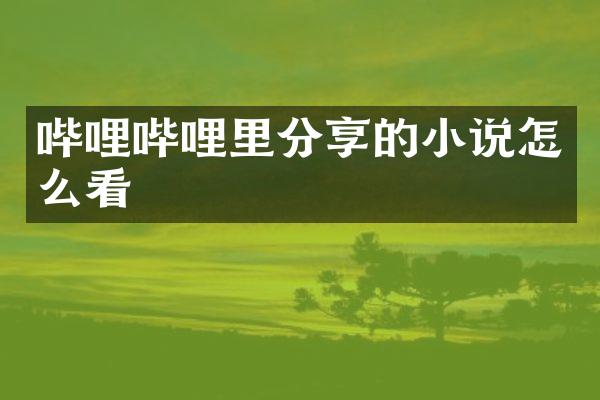 哔哩哔哩里分享的小说怎么看