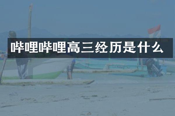 哔哩哔哩高三经历是什么