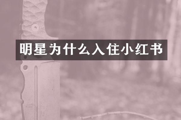 明星为什么入住小红书