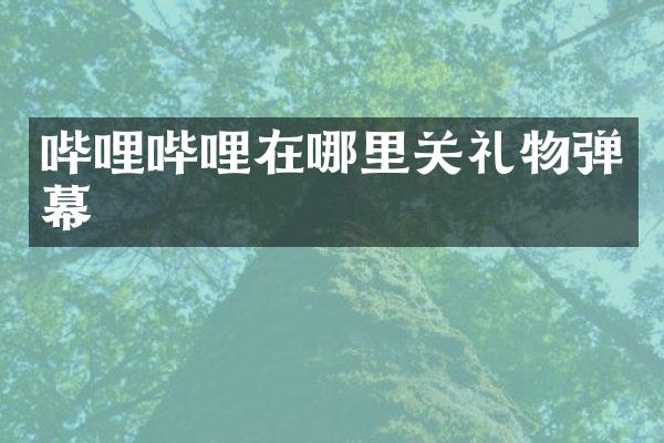 哔哩哔哩在哪里关礼物弹幕
