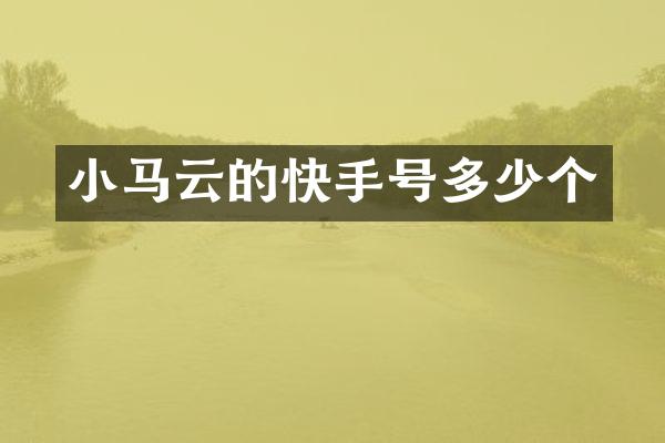小马云的快手号多少个
