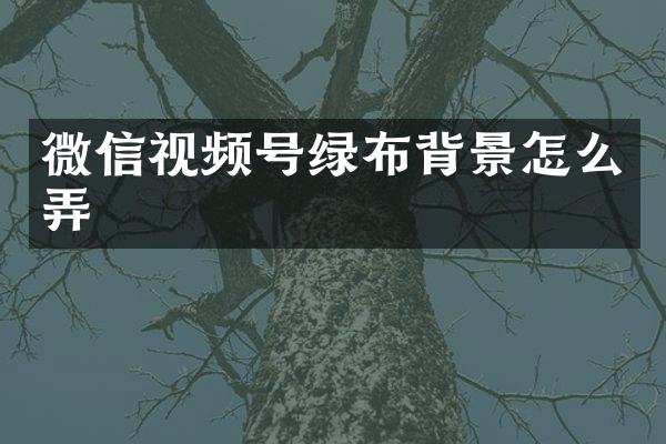 微信视频号绿布背景怎么弄