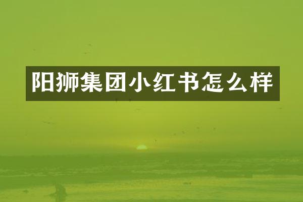 阳狮集团小红书怎么样