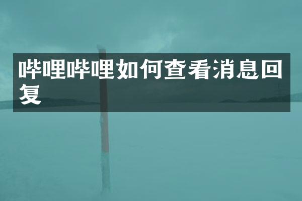 哔哩哔哩如何查看消息回复
