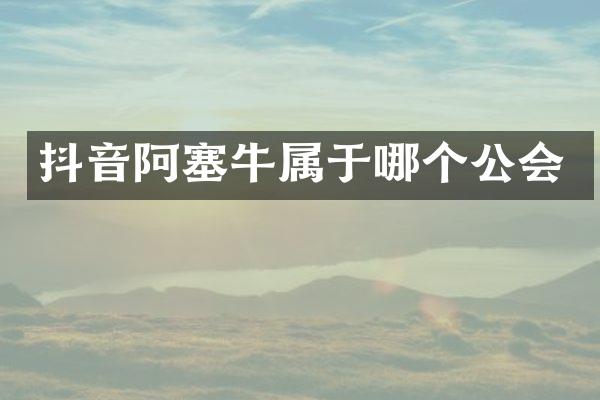 抖音阿塞牛属于哪个公会