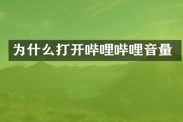 为什么打开哔哩哔哩音量