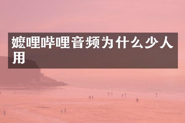 嬷哩哔哩音频为什么少人用