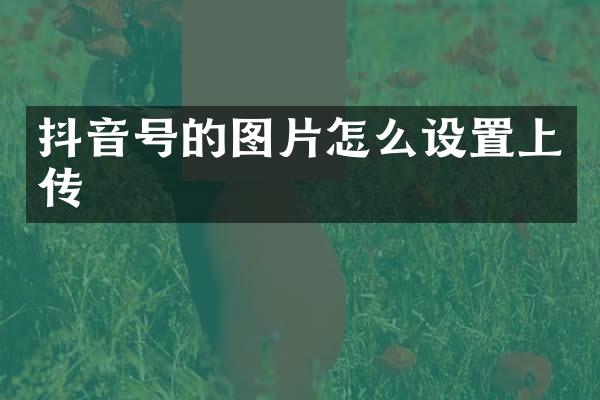 抖音号的图片怎么设置上传